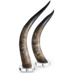 Decorative Accessories Natural Horns (Set of 2)