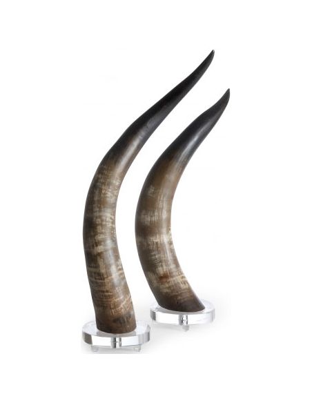Natural Horns (Set of 2)