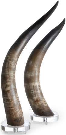 Decorative Accessories Natural Horns (Set of 2)