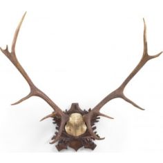 Decorative Accessories Oak Finished Antelope Ornamentation