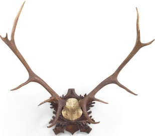 Decorative Accessories Oak Finished Antelope Ornamentation