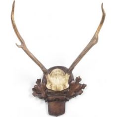Decorative Accessories Hand Finished Deer Antlers