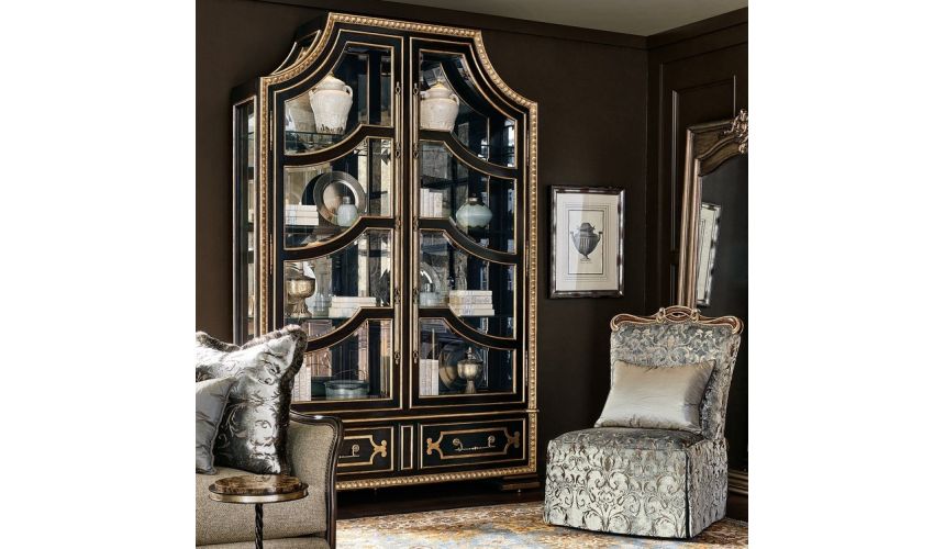 Display Cabinets and Armories Luxurious Black Knight's Display Cabinet