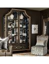 Display Cabinets and Armories Luxurious Black Knight's Display Cabinet