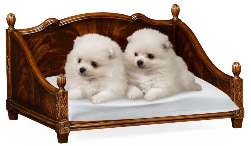 Four poster dog store bed