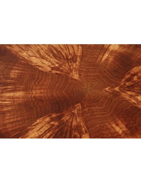 Mahogany flame veneer center table