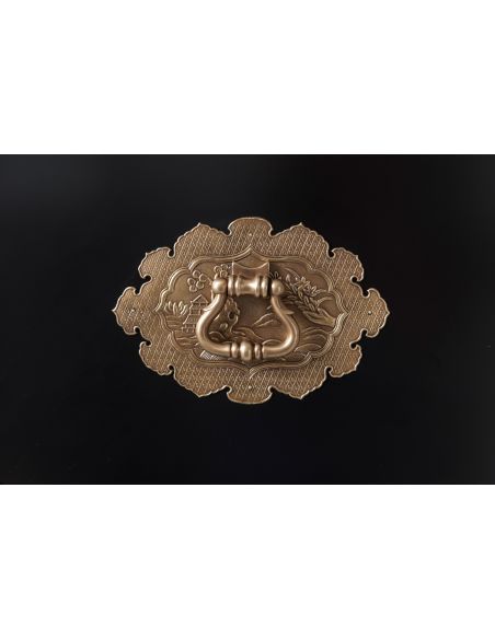 Intricate peacock designs