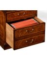 Executive Desks Crotch walnut compact single pedestal desk